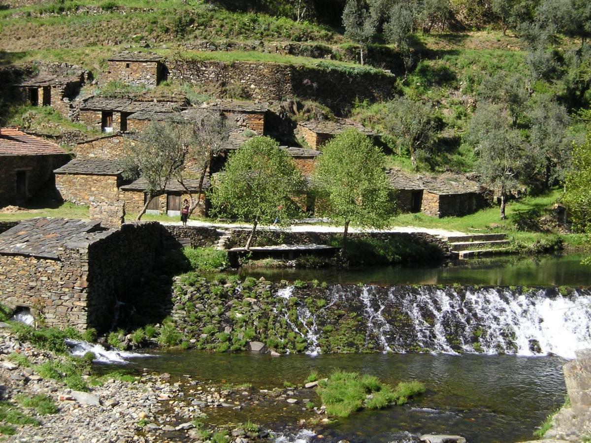 A Charming , Traditional Cottage At Quinta Da Ribeira Vila Nova de Poiares Luaran gambar