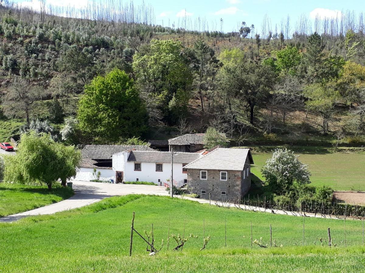 A Charming , Traditional Cottage At Quinta Da Ribeira Vila Nova de Poiares Luaran gambar